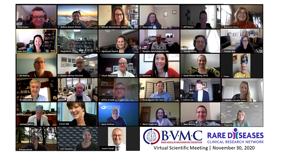 Screenshot of BVMC members on a Zoom call during the BVMC Virtual Scientific Meeting on November 30, 2020.