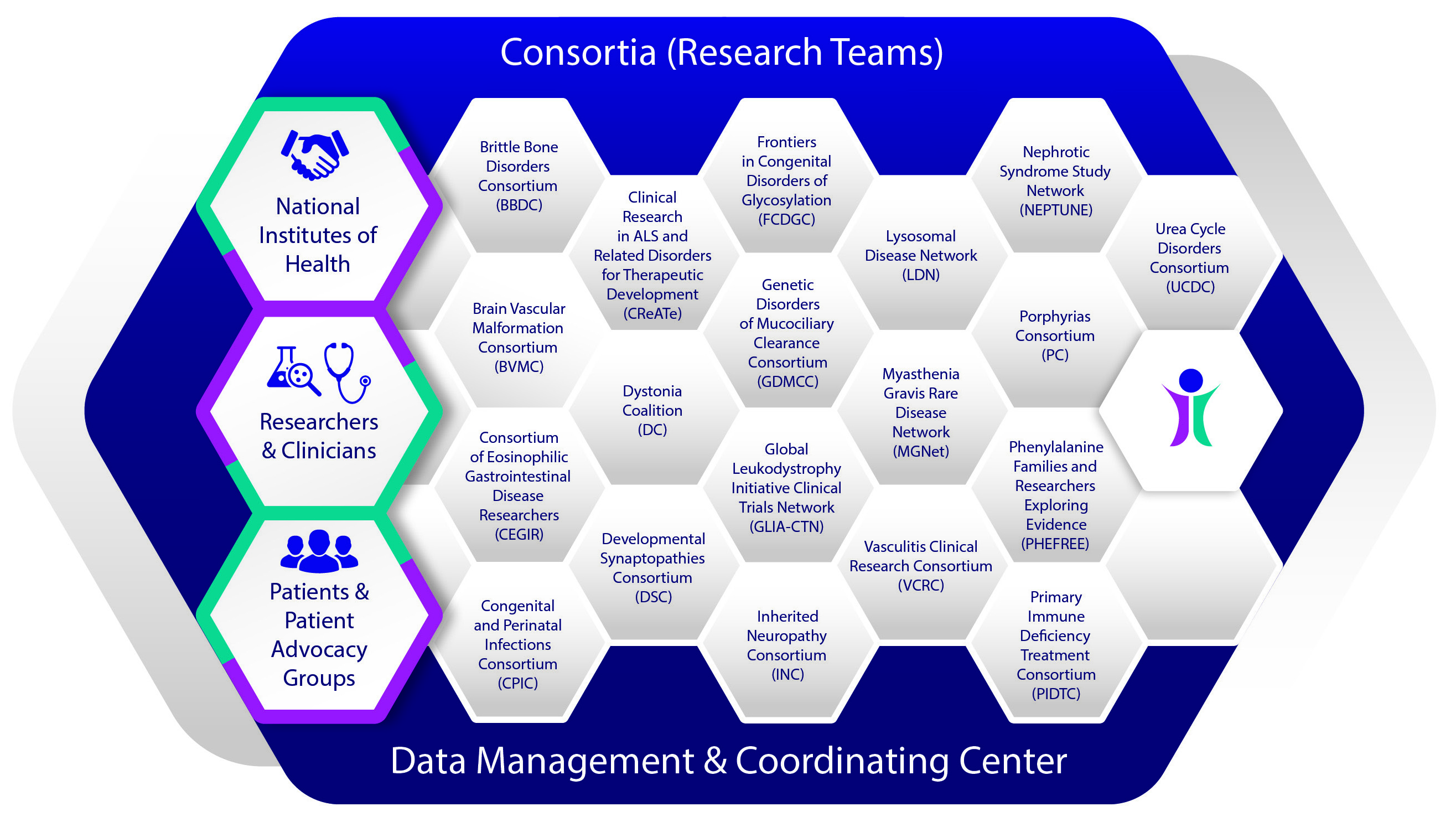Network Infographic details the 19 RDCRN Consortia