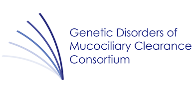 GDMCC