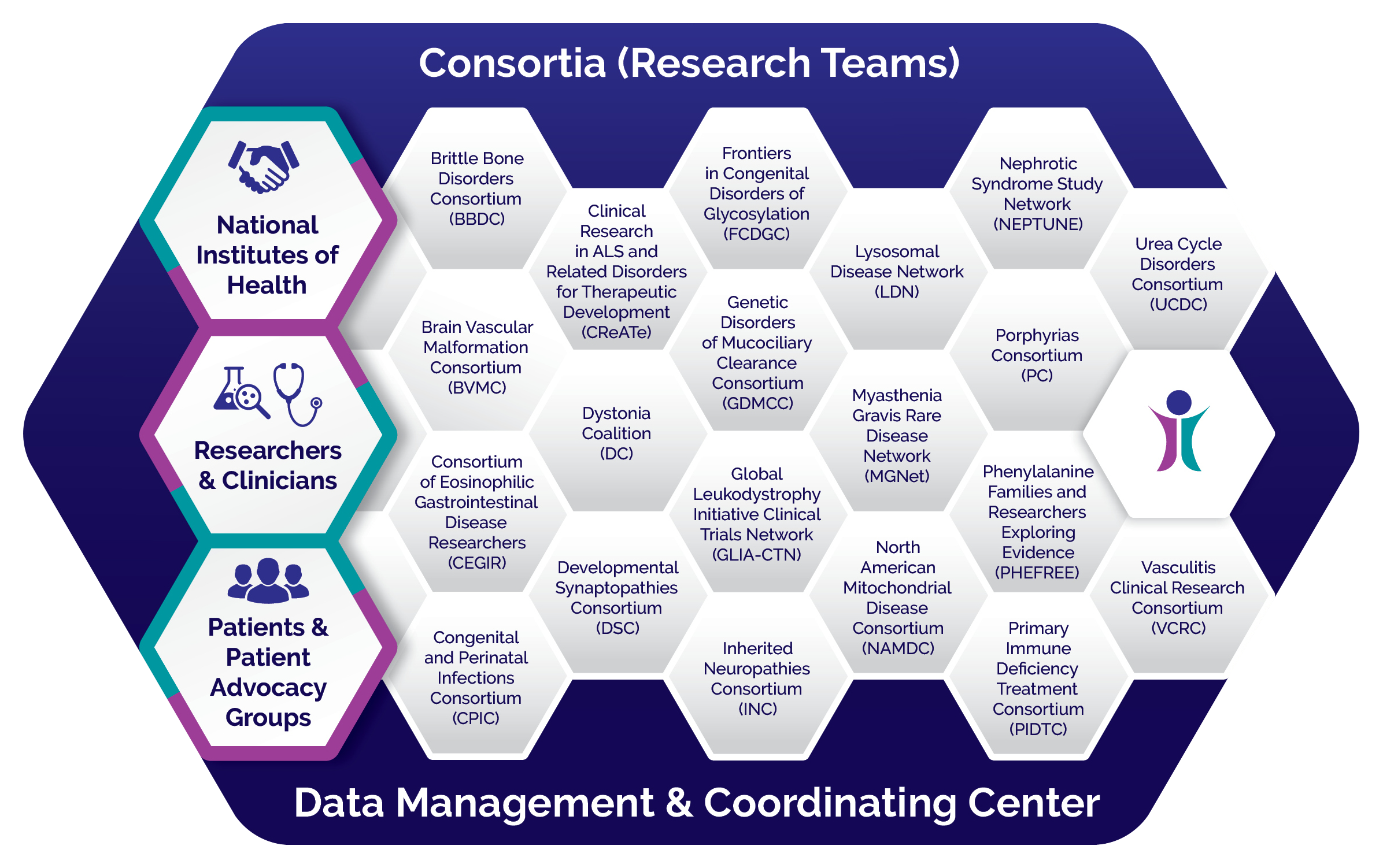 Networkinfographics Consortia