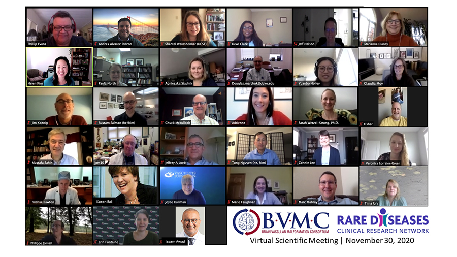 Consortium Spotlight Advancing Discoveries In Brain Vascular