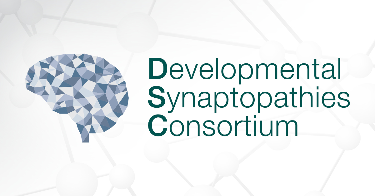 The Developmental Synaptopathies Consortium logo appears over a gray graphic of molecules