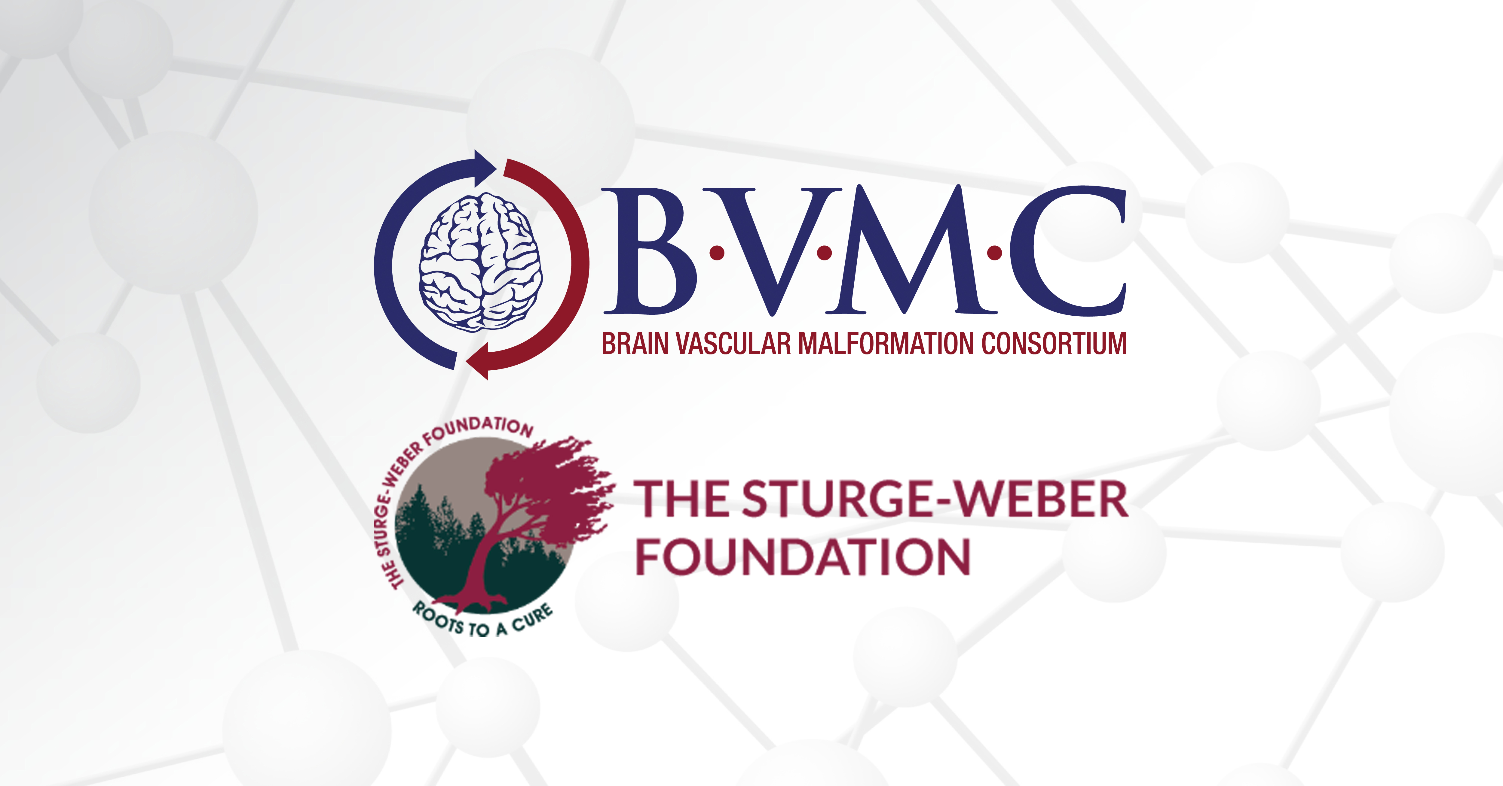 The BVMC and Sturge-Weber Foundation logos appear over a gray graphic of molecules