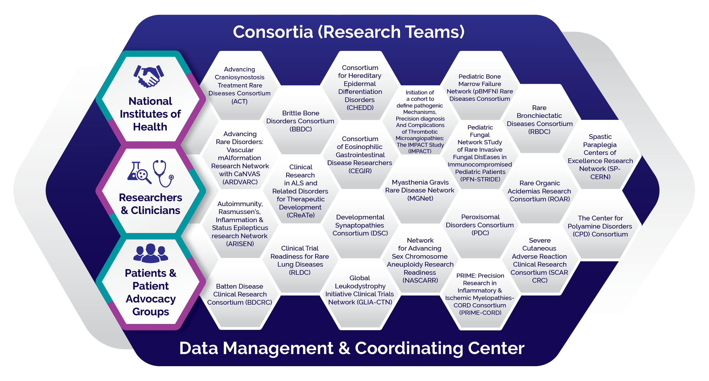 Honeycomb-style graphic showing the structure of the RDCRN