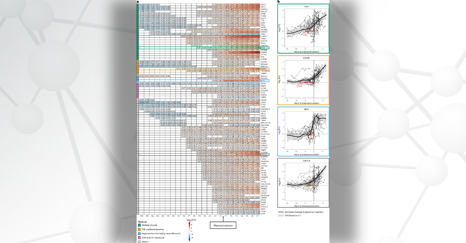 Maps showing longitudinal trajectory of protein biomarkers before and after phenoconversion.