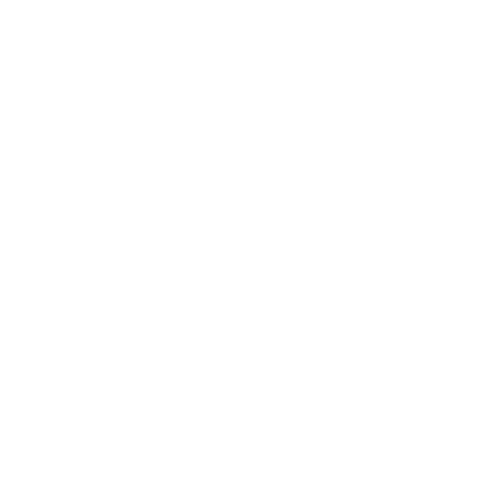 2025 Icon