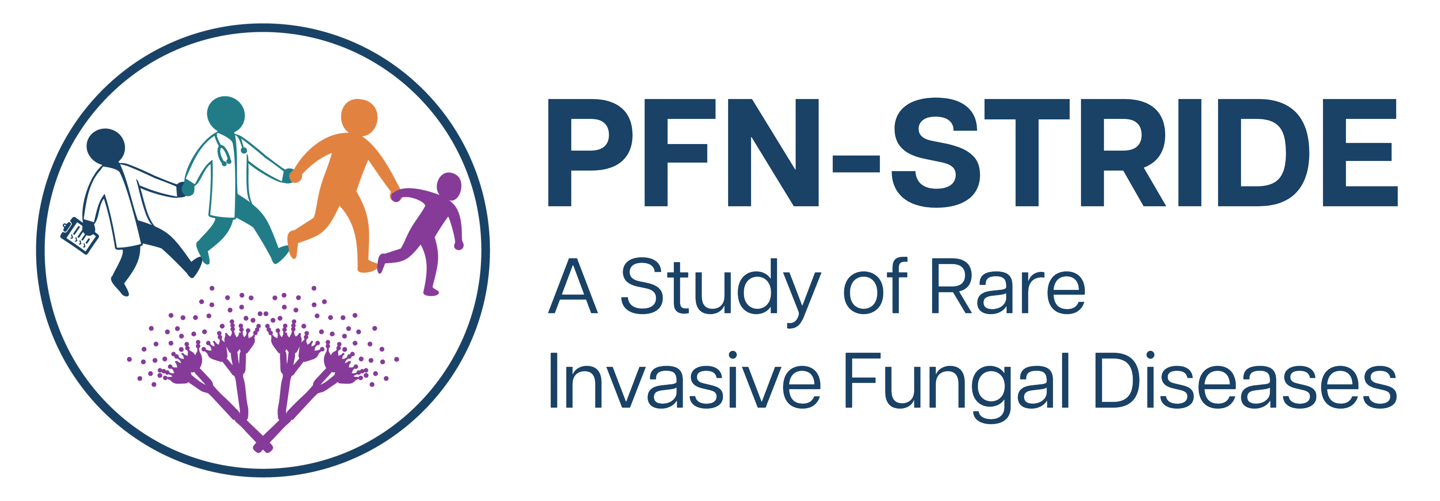 PFN-STRIDE logo