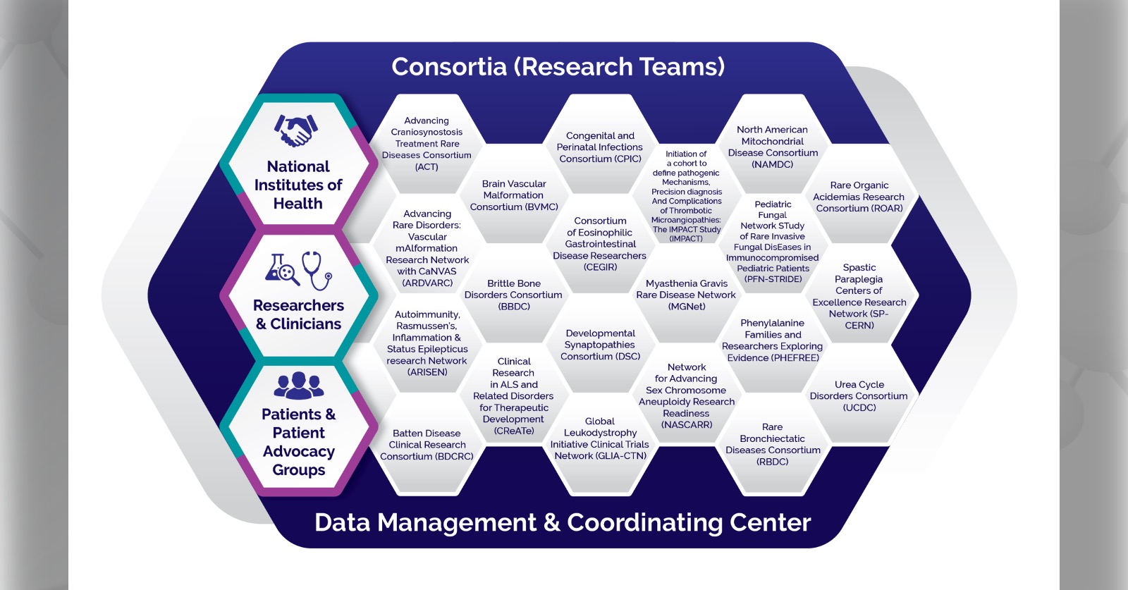 Honeycomb-style infographic showing the structure of the Rare Diseases Clinical Research Network with consortia names
