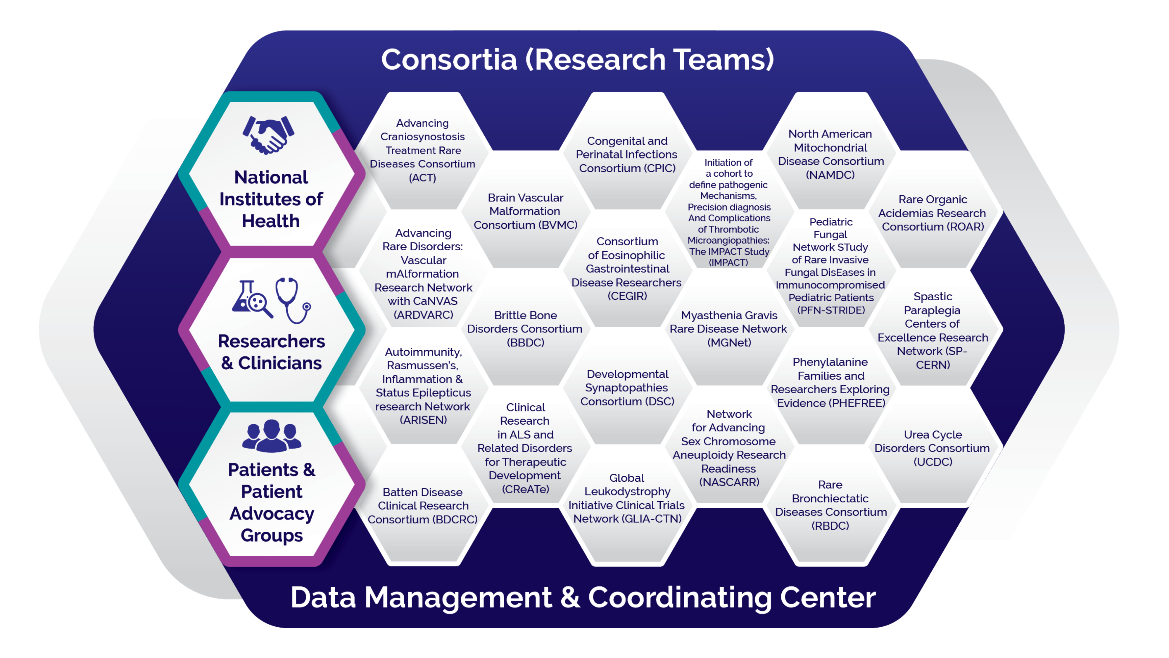 Honeycomb-style graphic showing the structure of the RDCRN