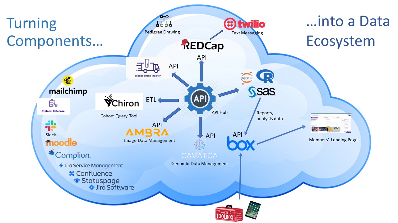 Learn about the RDCRN cloud environment