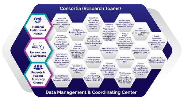 Infographic showing the structure of the RDCRN with 23 consortia.