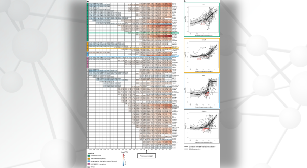 Maps showing longitudinal trajectory of protein biomarkers before and after phenoconversion.