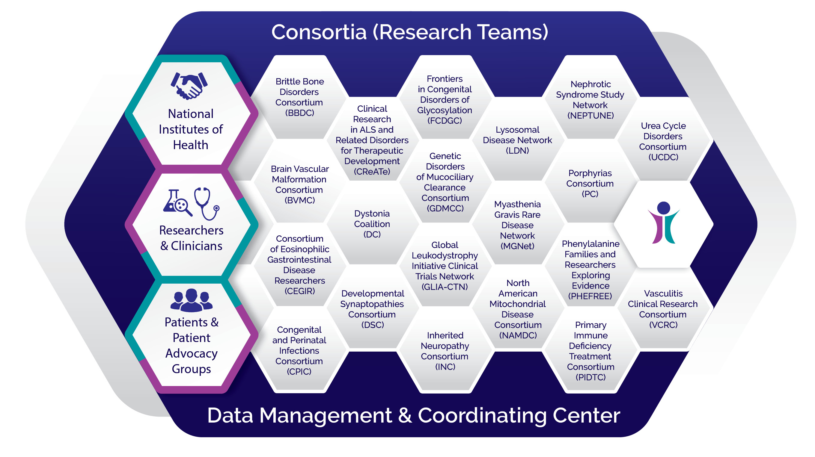 Graphic of all Rare Disease Network Consortia