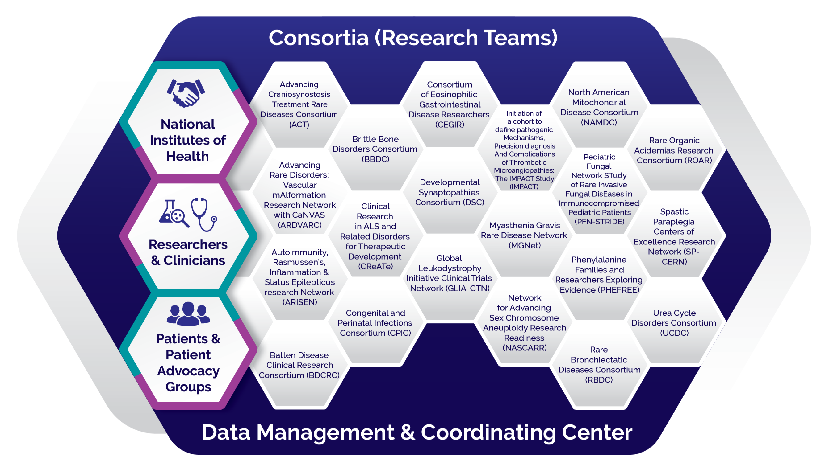 Honeycomb-shaped graphic showing the organization of the RDCRN