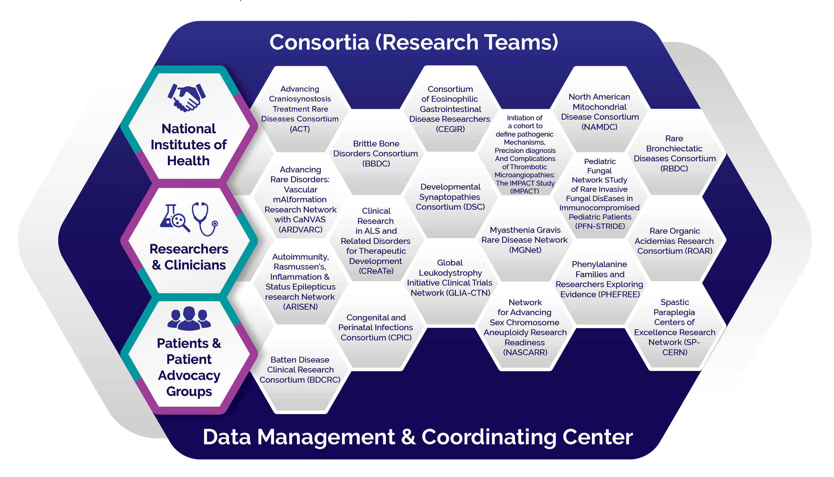Honeycomb-shaped graphic showing the organization of the RDCRN