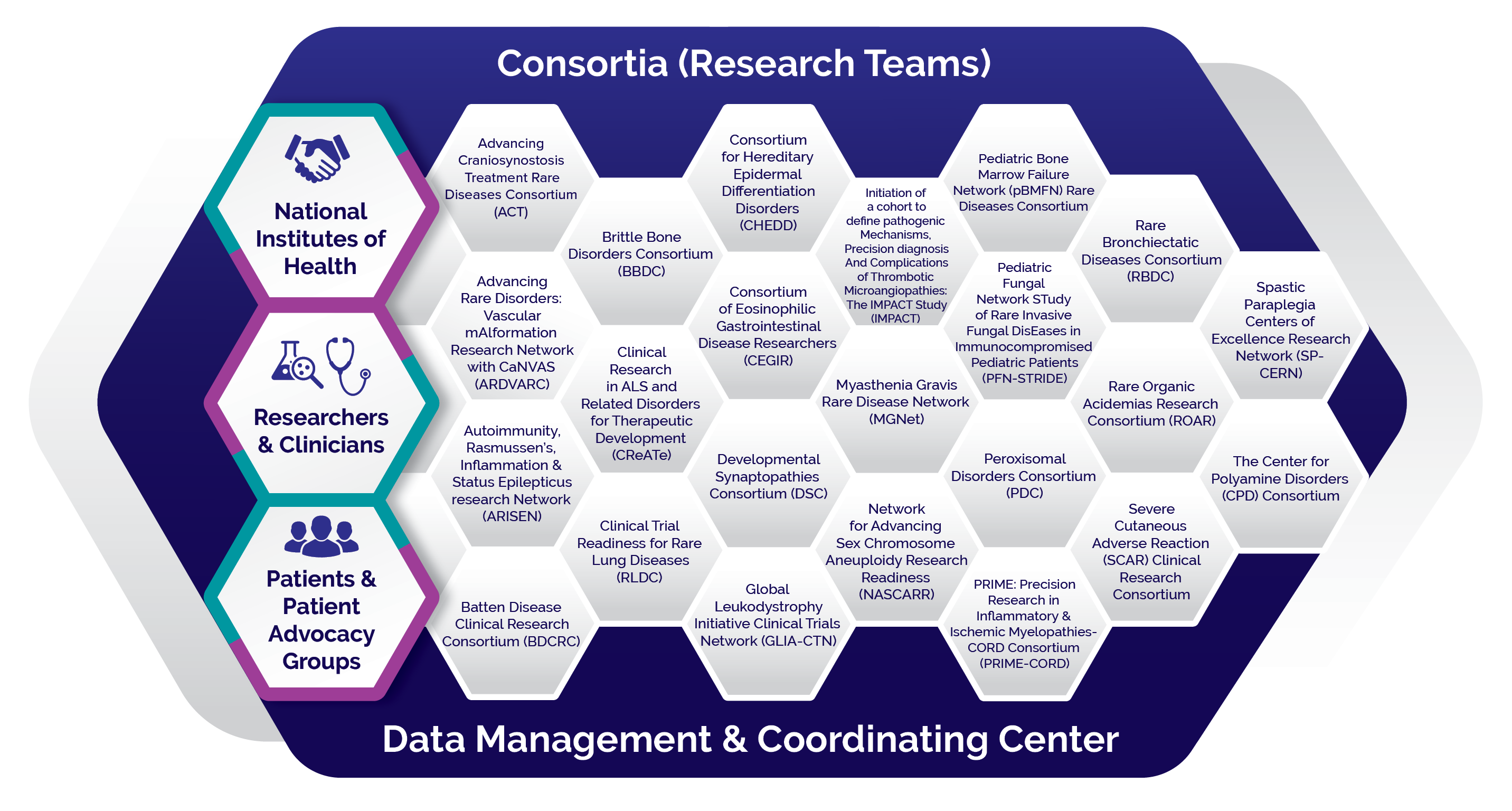 Honeycomb-shaped graphic showing the organization of the RDCRN