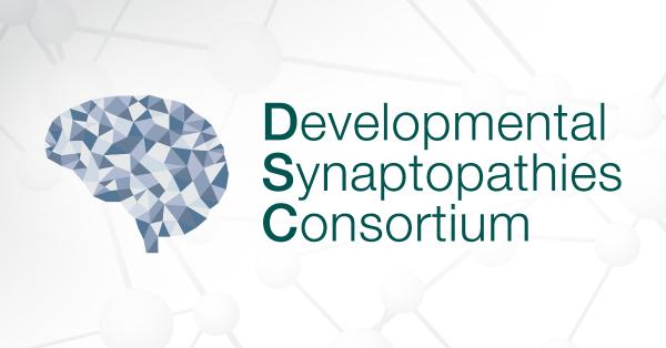 The Developmental Synaptopathies Consortium logo appears over a gray graphic of molecules
