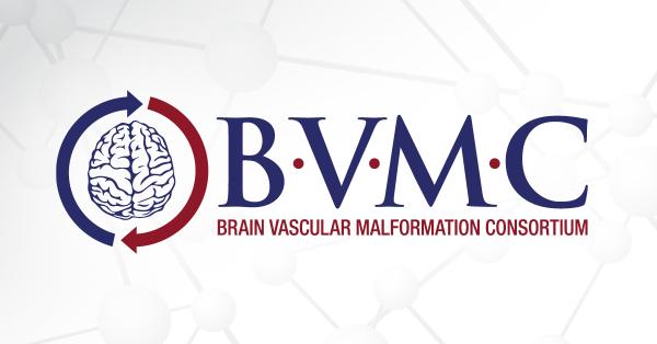 The BVMC logo appears over a gray graphic of molecules