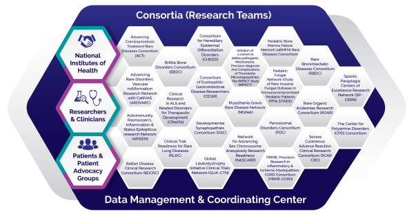 Infographic showing the structure of the RDCRN with 23 consortia.
