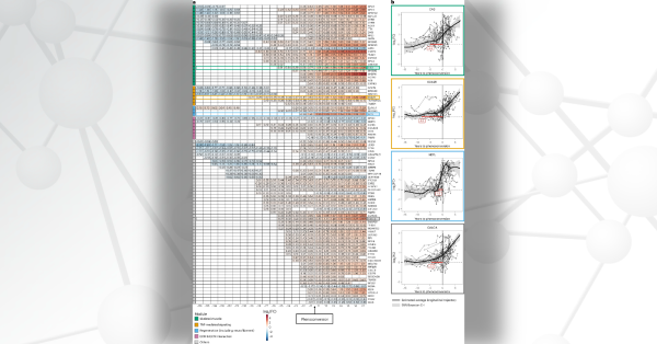 Maps showing longitudinal trajectory of protein biomarkers before and after phenoconversion.