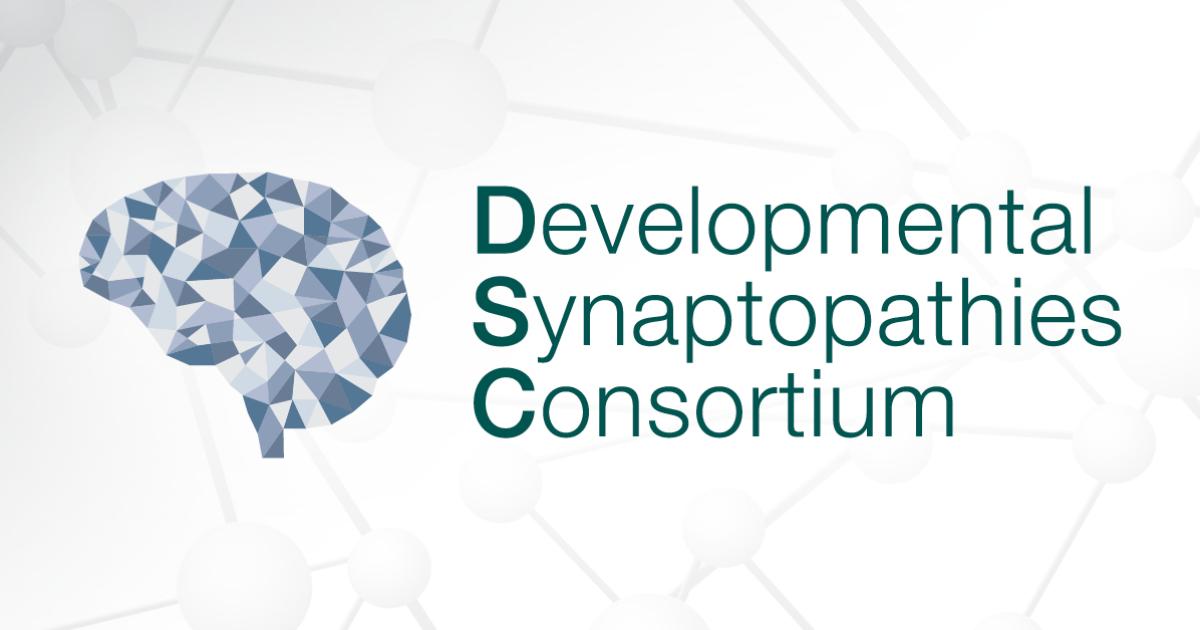 The Developmental Synaptopathies Consortium logo appears over a gray graphic of molecules