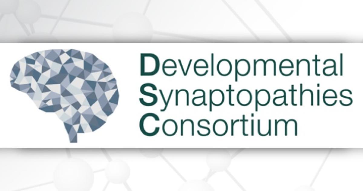 Developmental Synaptopathies Consortium logo