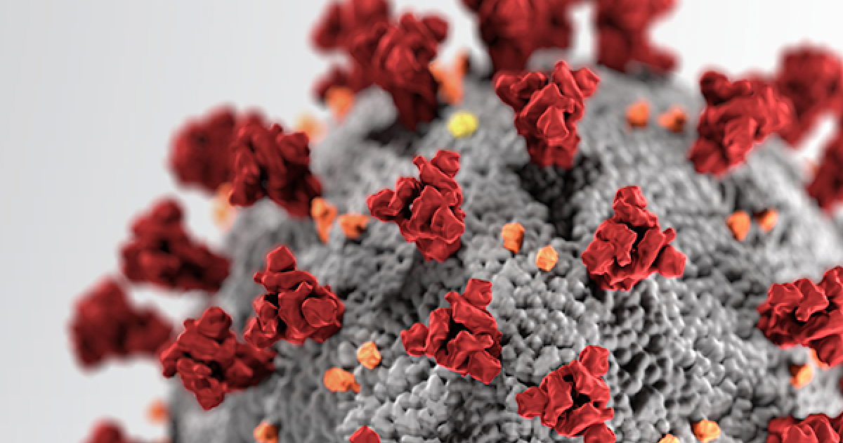 Image of the COVID-19 virus