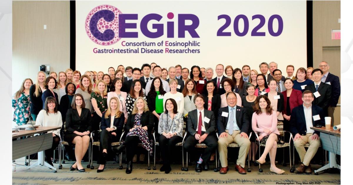 CEGIR members gathering in 2020