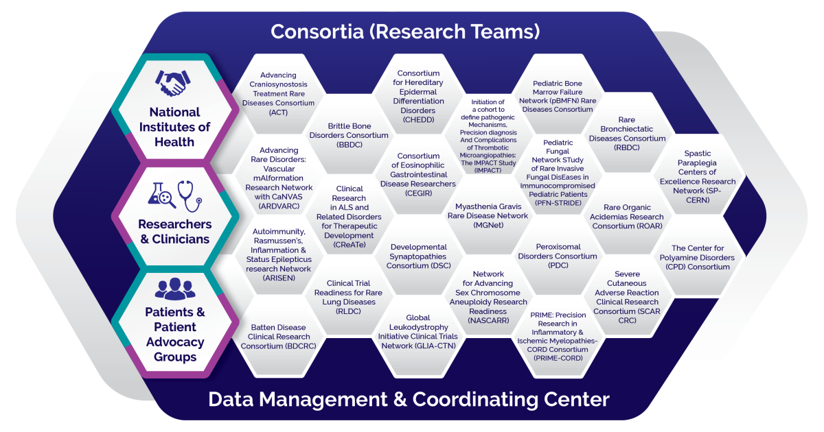 Infographic showing the structure of the RDCRN with 23 consortia.
