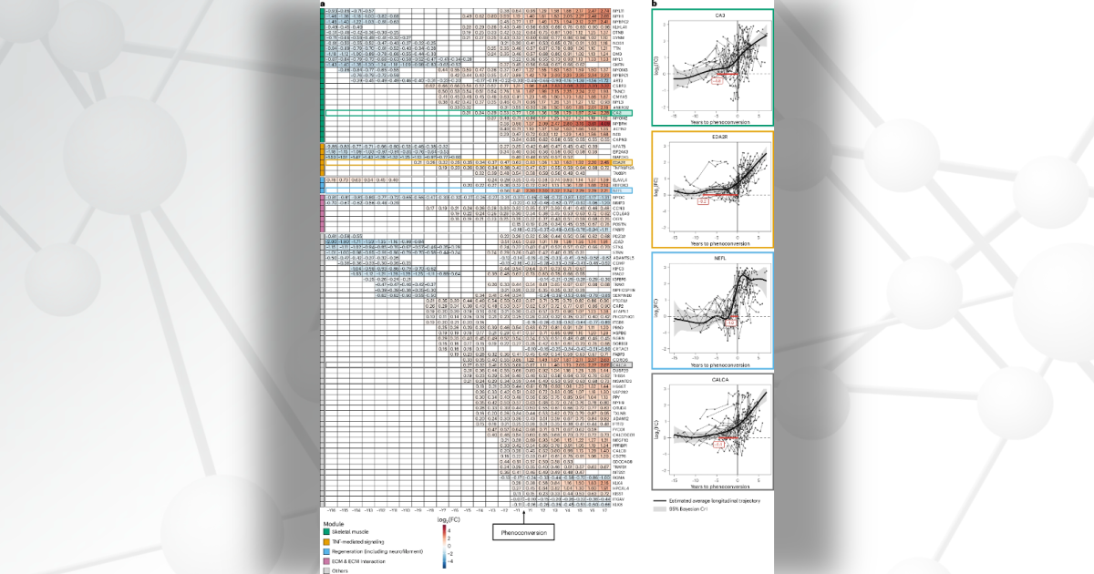 Maps showing longitudinal trajectory of protein biomarkers before and after phenoconversion.