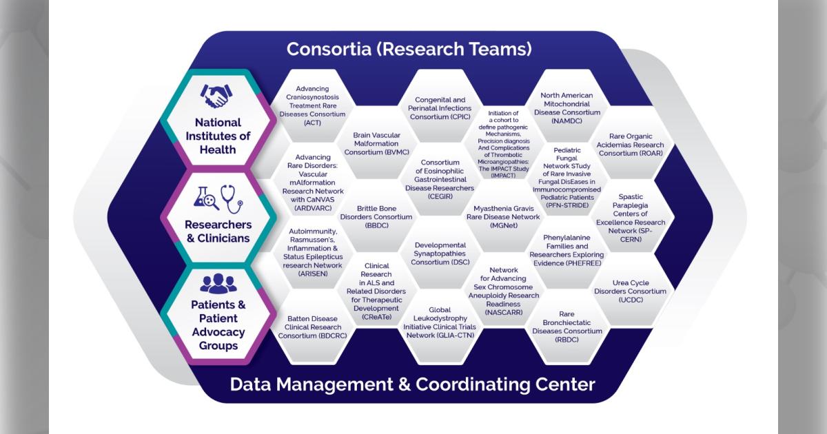 Honeycomb-style infographic showing the structure of the Rare Diseases Clinical Research Network with consortia names